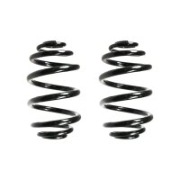 Fahrwerksfeder-Set hinten Schraubenfeder 250mm SPIDAN...