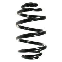 Fahrwerksfeder-Set hinten Schraubenfeder 250mm SPIDAN...