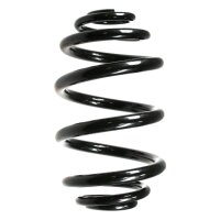Suspension spring set rear coil spring 250mm SPIDAN for...