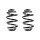 Suspension spring set rear coil spring 250mm SPIDAN for BMW 3 E46