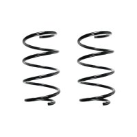 Suspension spring set front coil spring 304mm SPIDAN for...