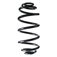 Fahrwerksfeder-Set hinten Schraubenfeder 309mm SPIDAN...