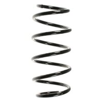 Fahrwerksfeder-Set vorne Schraubenfeder 301mm SPIDAN...