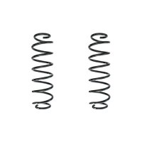 Suspension spring set rear coil spring 331mm SPIDAN for...