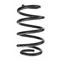 Fahrwerksfeder-Set vorne Schraubenfeder 259mm SPIDAN...