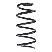 Fahrwerksfeder-Set vorne Schraubenfeder 324mm SPIDAN...