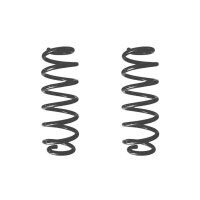 Fahrwerksfeder-Set hinten Schraubenfeder 298mm SPIDAN...