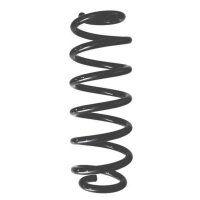 Fahrwerksfeder-Set hinten Schraubenfeder 298mm SPIDAN...