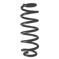 Fahrwerksfedern-Set hinten Schraubenfeder 298mm SPIDAN...