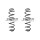 Fahrwerksfeder-Set hinten Schraubenfeder 365mm SPIDAN für SEAT LEON SC