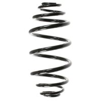Fahrwerksfeder-Set hinten Schraubenfeder 309mm SPIDAN...