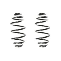 Fahrwerksfedern-Set hinten Schraubenfeder 309mm SPIDAN...