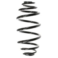 Fahrwerksfedern-Set hinten Schraubenfeder 309mm SPIDAN...