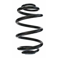 Fahrwerksfeder-Set hinten Schraubenfeder 253mm SPIDAN...