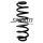 Fahrwerksfeder-Set hinten Schraubenfeder 363mm SPIDAN für VW PASSAT ALLTRACK