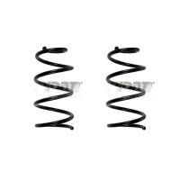 Fahrwerksfedern-Set hinten Schraubenfeder 282mm SPIDAN...