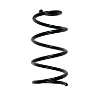 Fahrwerksfedern-Set hinten Schraubenfeder 282mm SPIDAN...