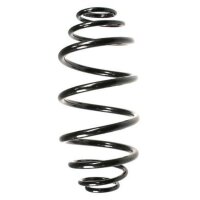 Fahrwerksfeder-Set hinten Schraubenfeder 317mm SPIDAN...