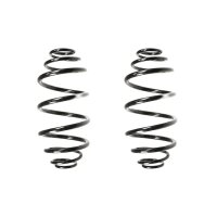 Fahrwerksfedern-Set hinten Schraubenfeder 317mm SPIDAN...