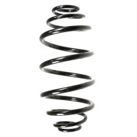 Fahrwerksfedern-Set hinten Schraubenfeder 317mm SPIDAN...