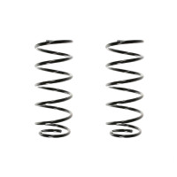 Fahrwerksfeder-Set vorne Schraubenfeder 320mm SPIDAN...