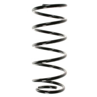 Fahrwerksfeder-Set vorne Schraubenfeder 320mm SPIDAN...