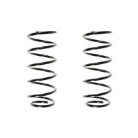 Suspension spring set front coil spring 320mm SPIDAN for...