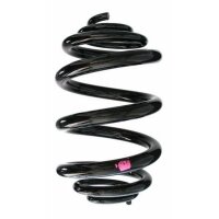 Fahrwerksfeder-Set hinten Schraubenfeder 280mm SPIDAN...
