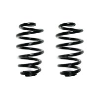 Fahrwerksfeder-Set hinten Schraubenfeder 256mm SPIDAN...
