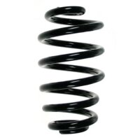 Fahrwerksfeder-Set hinten Schraubenfeder 256mm SPIDAN...