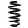 Fahrwerksfeder-Set hinten Schraubenfeder 256mm SPIDAN für AUDI A4 B7