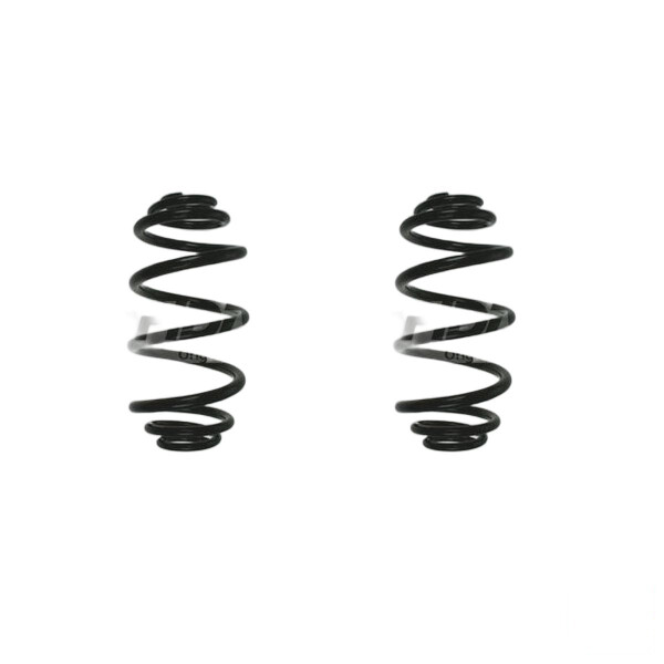 Fahrwerksfeder-Set hinten Schraubenfeder 310mm SPIDAN für OPEL INSIGNIA A