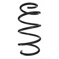 Fahrwerksfeder-Set vorne Schraubenfeder 302mm SPIDAN...