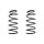 Fahrwerksfeder-Set vorne Schraubenfeder 317mm SPIDAN für VW GOLF IV