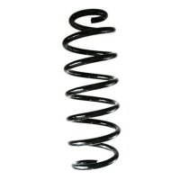 Fahrwerksfeder-Set hinten Schraubenfeder 321mm SPIDAN...