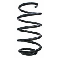 Fahrwerksfeder-Set vorne Schraubenfeder 308mm SPIDAN...