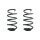 Suspension spring set front coil spring 308mm SPIDAN for FORD FOCUS III