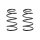 Suspension spring set front coil spring 330mm SPIDAN for i30 FD