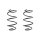 Fahrwerksfeder-Set vorne Schraubenfeder 319mm SPIDAN für MERCEDES SLK (R171)