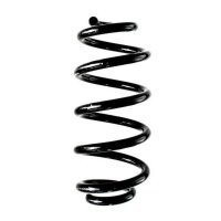 Fahrwerksfeder-Set hinten Schraubenfeder 250mm SPIDAN...