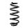 Fahrwerksfeder-Set hinten Schraubenfeder 250mm SPIDAN für SMART FORTWO Coupe
