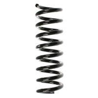 Fahrwerksfeder-Set hinten Schraubenfeder 325mm SPIDAN...