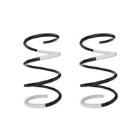 Fahrwerksfeder-Set vorne Schraubenfeder 321mm SPIDAN...