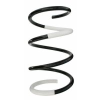 Fahrwerksfeder-Set vorne Schraubenfeder 321mm SPIDAN...