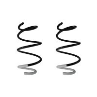 Fahrwerksfeder-Set vorne Schraubenfeder 305mm SPIDAN...