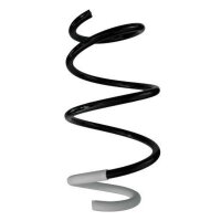 Fahrwerksfeder-Set vorne Schraubenfeder 305mm SPIDAN...