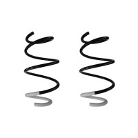 Suspension spring set front coil spring 305mm SPIDAN for...