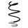 Suspension spring set front coil spring 305mm SPIDAN for DACIA SANDERO II