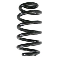 Fahrwerksfedern-Set hinten Schraubenfeder 264mm SPIDAN...