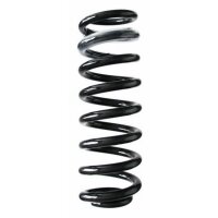 Fahrwerksfeder-Set hinten Schraubenfeder 368mm SPIDAN...
